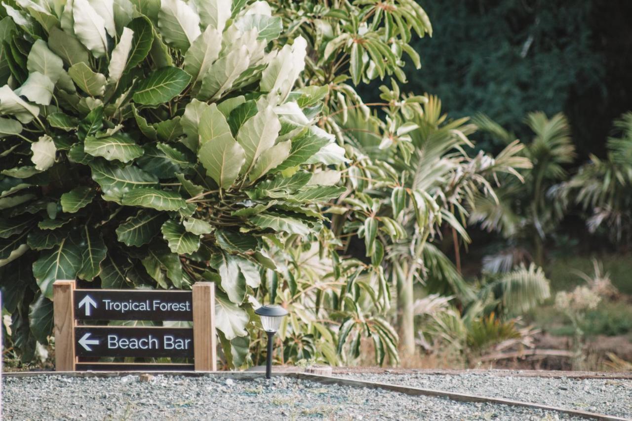 Aotearoa Surf Eco Pods Ξενοδοχείο Te Arai Εξωτερικό φωτογραφία